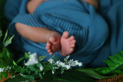Close-up of hands holding plants