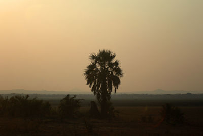 Silhouette trees on landscape against sky during sunset