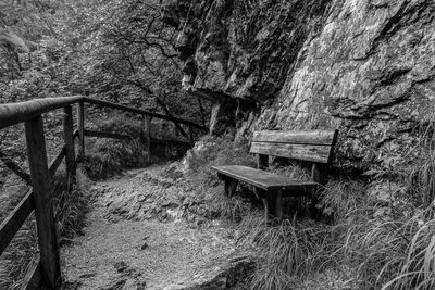 Abandoned staircase in the forest