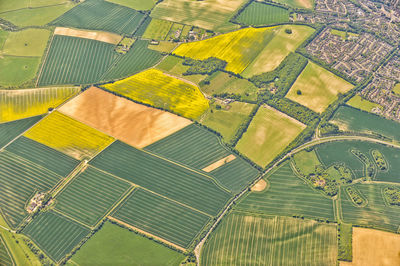 Aerial view of agricultural field