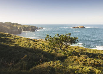 Scenic view of sea against clear sky