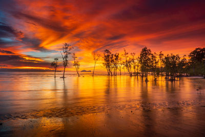 Scenic view of sea against orange sky