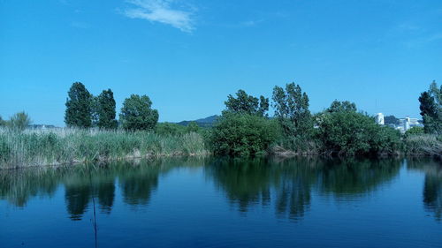 Scenic view of lake against blue sky