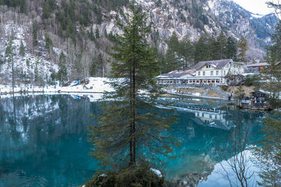 Reflection of trees in swimming pool