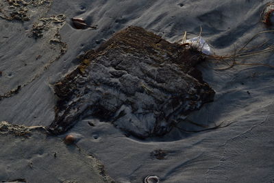 High angle view of tire tracks on sand