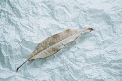 High angle view of feather on bed