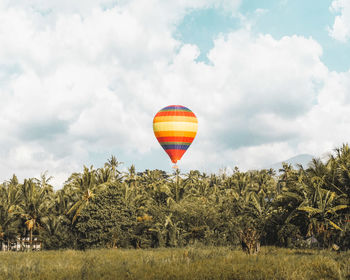 Hot air balloons on field against sky