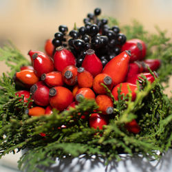 Close-up of cherries on plant