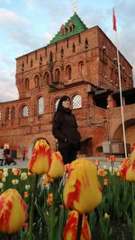 Low angle view of flowers against built structure