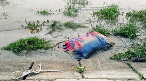 Close-up of abandoned pillow