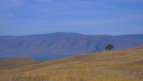 Scenic view of landscape against sky