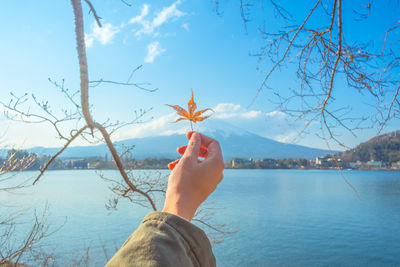 Cropped hand holding leaf by lake