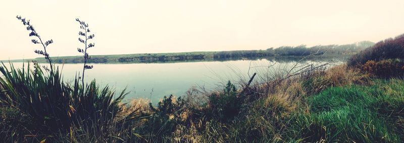 Scenic view of calm lake against clear sky