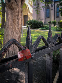 Close-up of red metal fence on tree