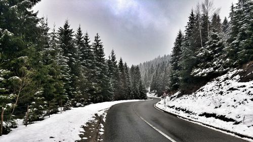 Empty country road amidst trees during winter