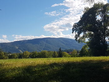 Scenic view of field against sky