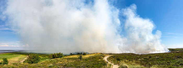 Controlled burning of old and dry heather at morsum cliff, germany. 