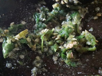 High angle view of chopped vegetables in plate