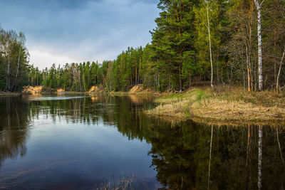 Scenic view of lake by trees against sky