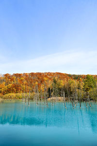 Scenic view of swimming pool against sky