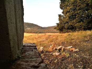 Scenic view of landscape against sky