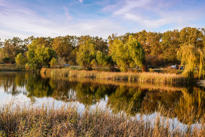 Reflection of trees in lake against sky