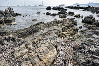 Scenic view of sea shore