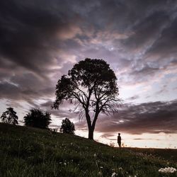 Bare trees on field against cloudy sky