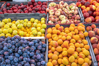 Close-up of fruits for sale