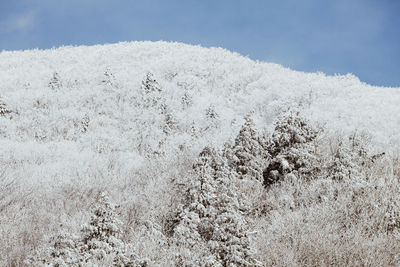 Snow covered land against sky