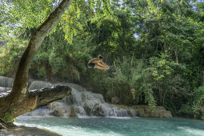 Young man jumping at kuang si waterfall in luang prabang, laos