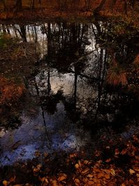 Full frame shot of wet window