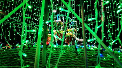 Illuminated carousel in amusement park