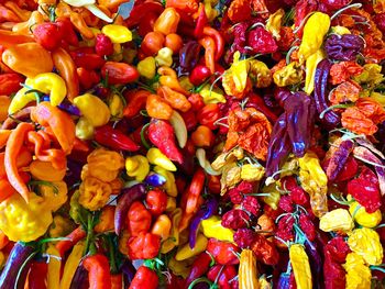 Colourfull flowers peppers