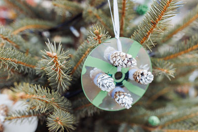 Diy handmade decoration of cd and pine cone on christmas tree