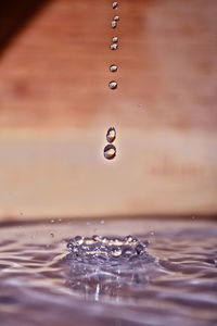 Close-up of drops falling on water