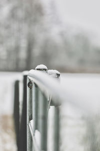 Close-up of metal chain on railing