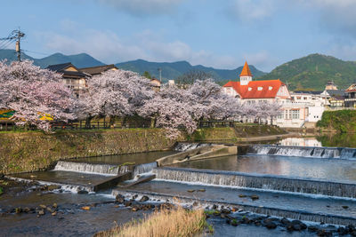 Siebold no yu and colorful sakura blossom with cascading river at ureshino onsen park, saga, japan.