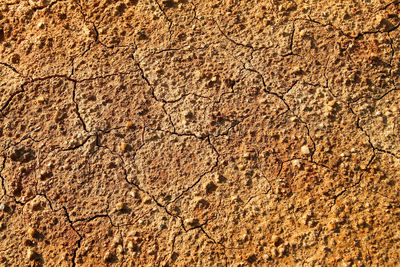 Dry polluted orange stony soil, top view.