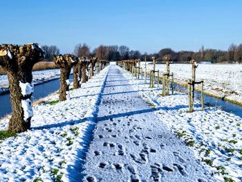 Snow covered field and walkway against sky