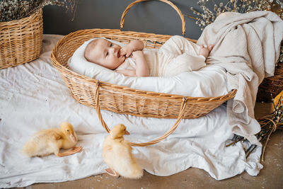 Baby lies in a wicker basket gray background willow eco style