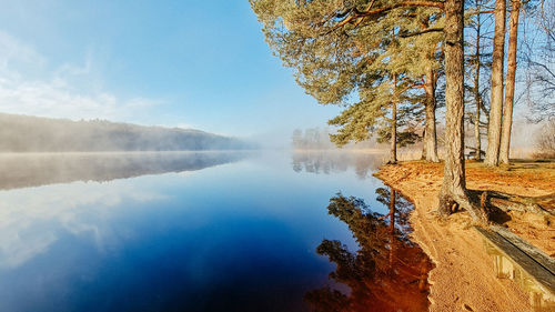 Swedish lake. reflection, nature and morning sun.