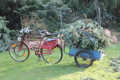 Bicycle on field