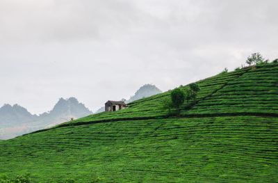 Scenic view of farm against sky