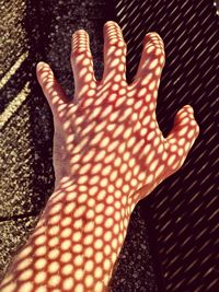 High angle view of human hand