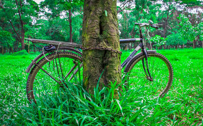 Bicycle in park