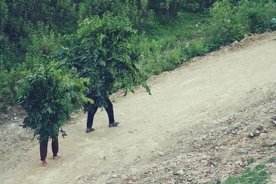 Rear view of woman working on farm