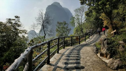 Footpath amidst trees