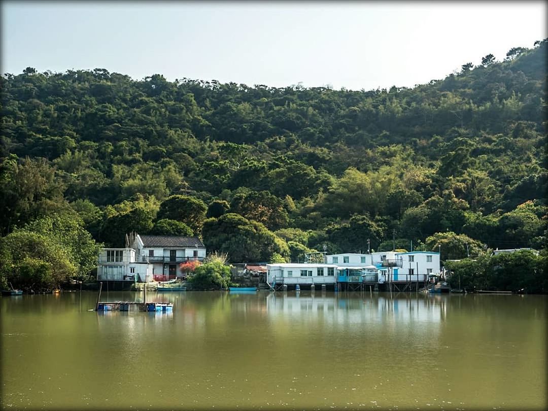 tree, water, built structure, no people, reflection, building exterior, outdoors, architecture, day, tranquil scene, nature, tranquility, river, waterfront, growth, scenics, beauty in nature, forest, mountain, sky