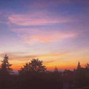 Low angle view of silhouette trees against sky during sunset